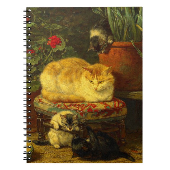 Carnet Les chatons en jeu (Devant)