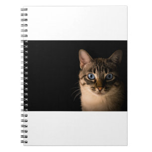 Carnet Les Chats Sont Les 20 Meilleurs