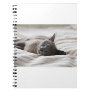 Carnet Les Chats Sont Les Meilleurs 66