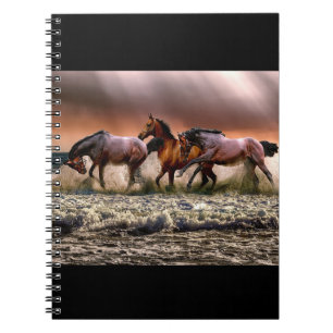 Carnet Les chevaux à la plage
