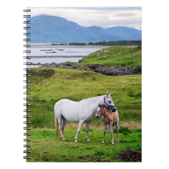 Carnet Les Chevaux du Connemara | Galway, Irlande (Devant)