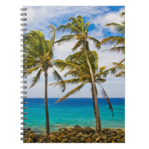 Carnet Les cocotiers (Cocos nucifera) se balancent dans