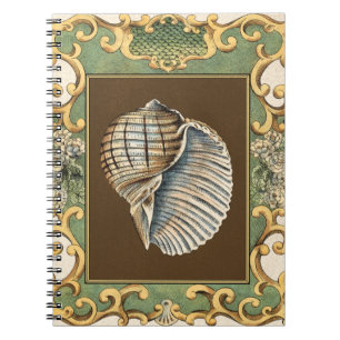 Carnet Les coquilles de la petite sirène