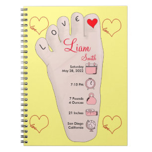 Carnet Les détails de Birth Stats
