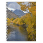 Les Etats-Unis, la Californie, rivière par la