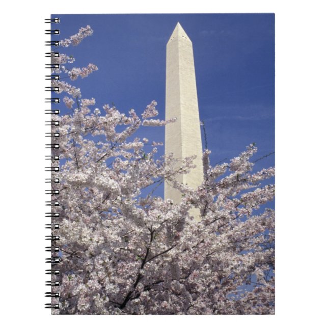 Carnet Les Etats-Unis, Washington DC. Festival de fleurs (Devant)