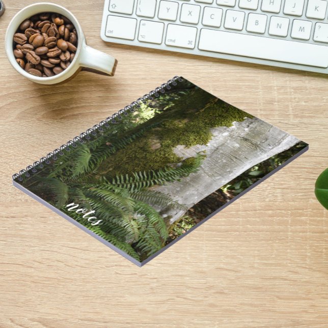 Carnet Les fougères et la mousse Arbre couvert Nature Pho (In Situ Office)
