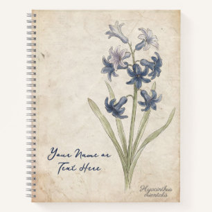 Carnet Les Larmes d'Apollon : Hyacinthus Orientalis Botan