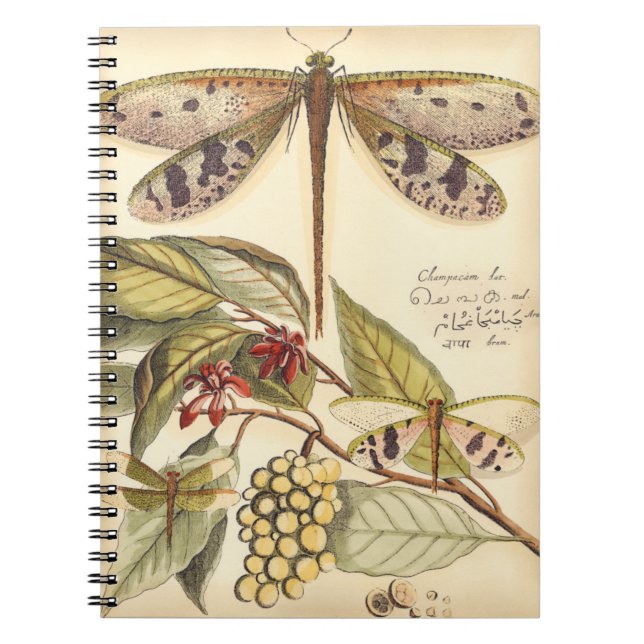 Carnet Les libellules aux Feuilles et aux fruits (Devant)