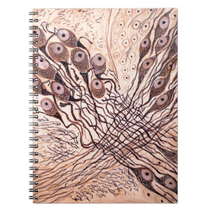 Carnet Les neurones 1 de Cajal