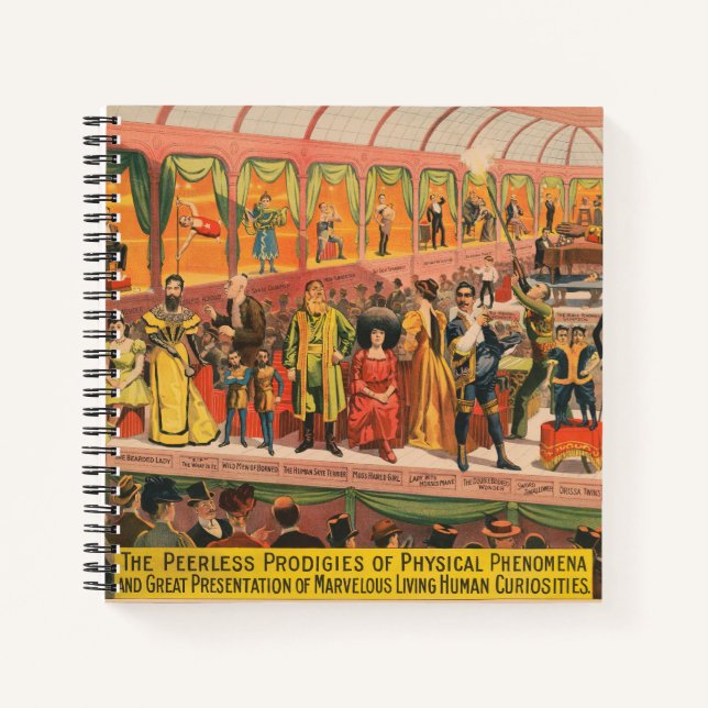 Carnet Les Prodigies Sans Peines Des Phénomènes Physiques (Devant)