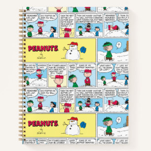 Carnet Les souvenirs de baseball de Charlie Brown