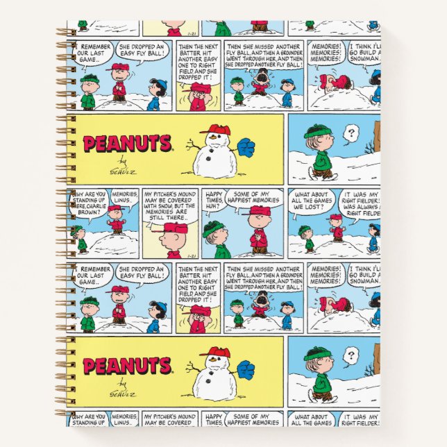 Carnet Les souvenirs de baseball de Charlie Brown (Devant)