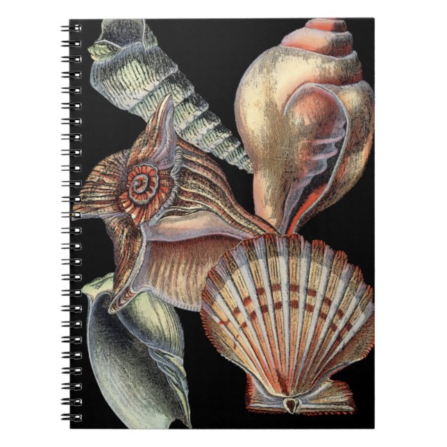 Carnet Les trésors de la mer (Devant)