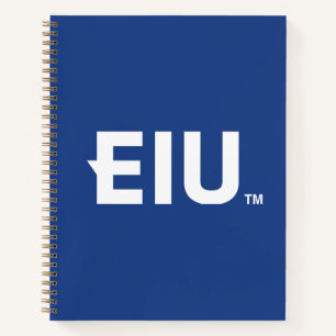 Carnet LETTRE bloc EIU