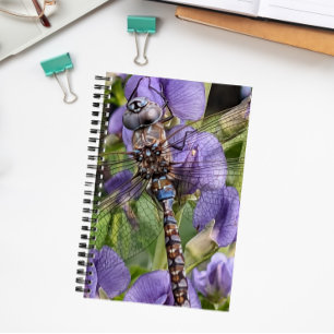 Carnet Libellule Aeshne à yeux bleus sur fleur