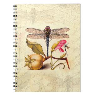Carnet Libellule Botanique Nature Faune Hoefnagel Art