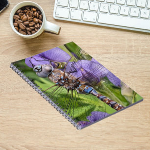 Carnet Libellule Darner aux Yeux Bleus sur Fleur