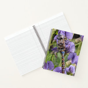 Carnet Libellule Darner aux Yeux Bleus sur Fleur