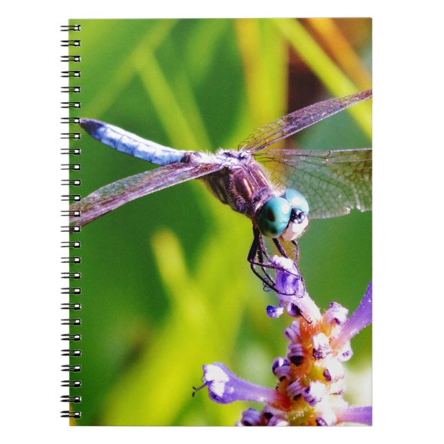 Carnet libellule turquoise et violette (Devant)