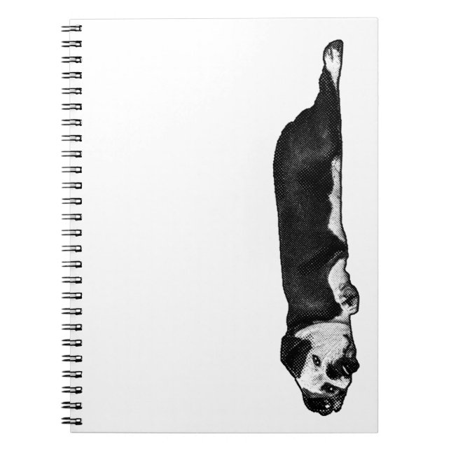 Carnet Lignes et réflexions lumineuses (Devant)