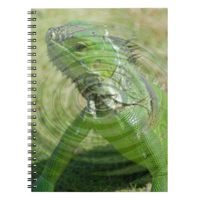 Carnet L'iguane vert (Devant)