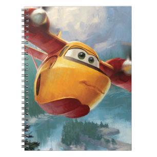 Carnet Lil' Dipper N281JH