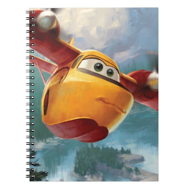 Carnet Lil' Dipper N281JH (Devant)