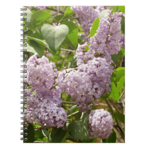Carnet Lilac Bush Belles fleurs de printemps violettes
