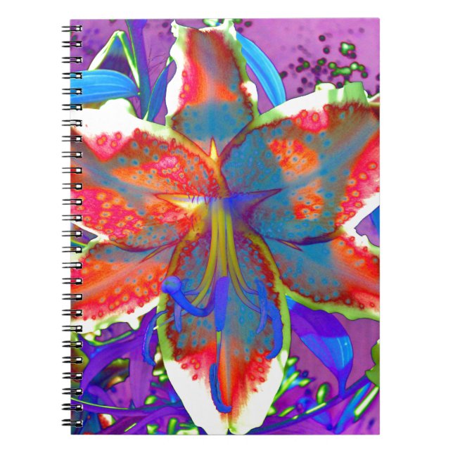 Carnet Lily rétro (Devant)