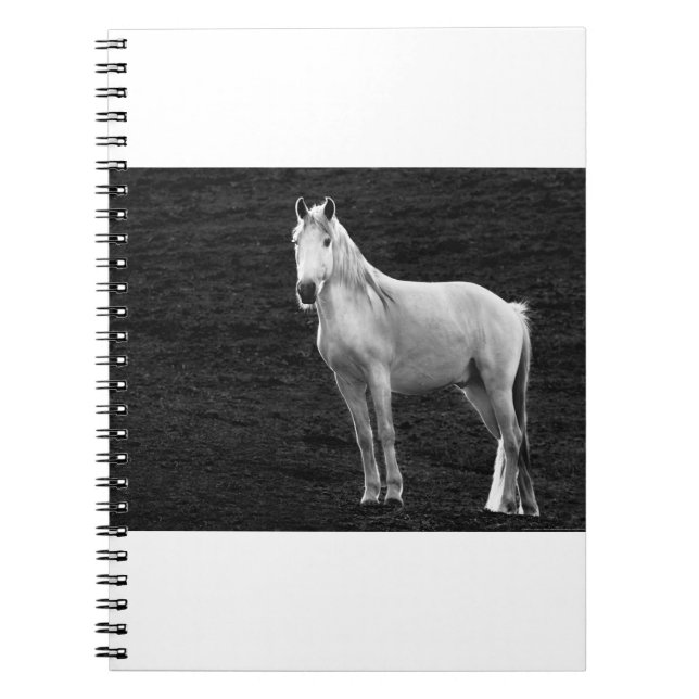 Carnet LIN10BW le Stance.tif (Devant)