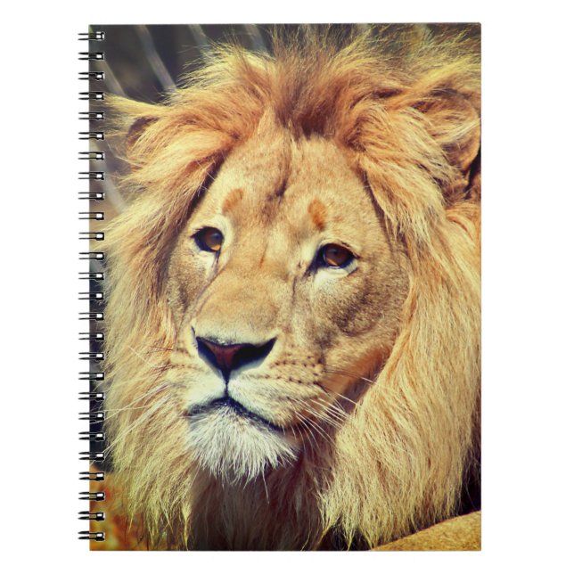 Carnet Lion (Devant)