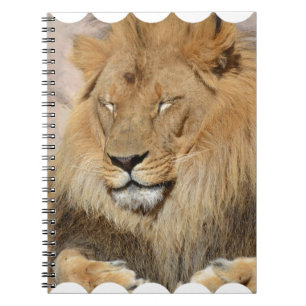 Carnet Lion adorable