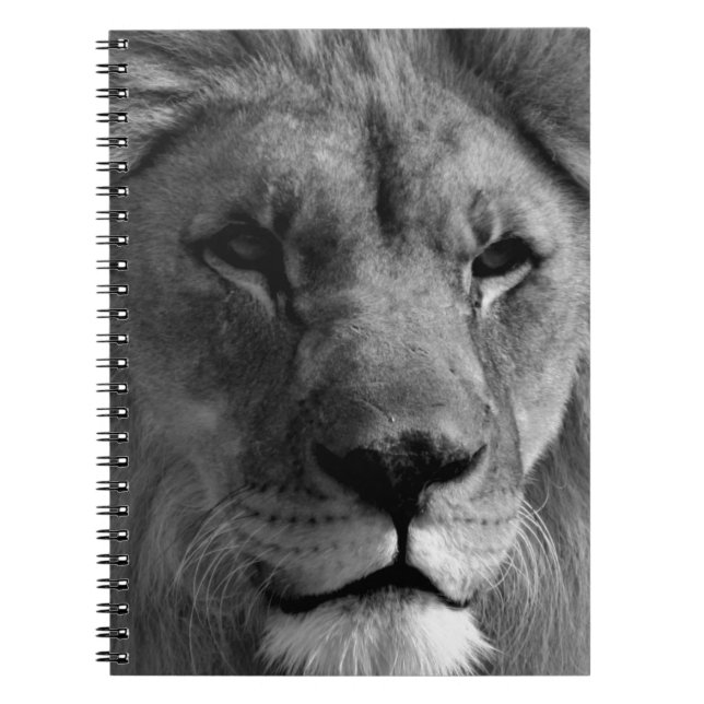 Carnet Lion noir et blanc (Devant)