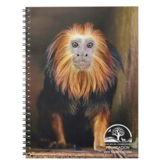 Carnet Lion Tamarin à tête dorée