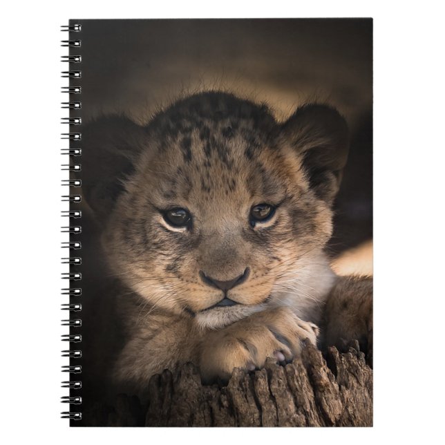 Carnet Lionceau (Devant)
