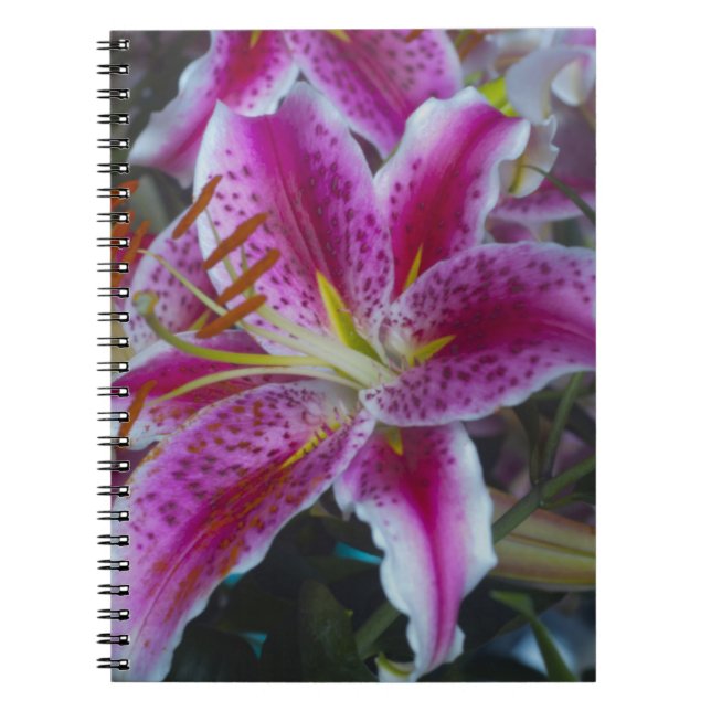 Carnet Lis d'astronome roses et fleurs magenta (Devant)
