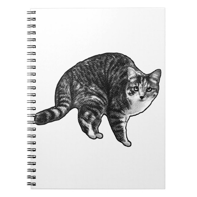 Carnet Liste Tabby Temps (Devant)