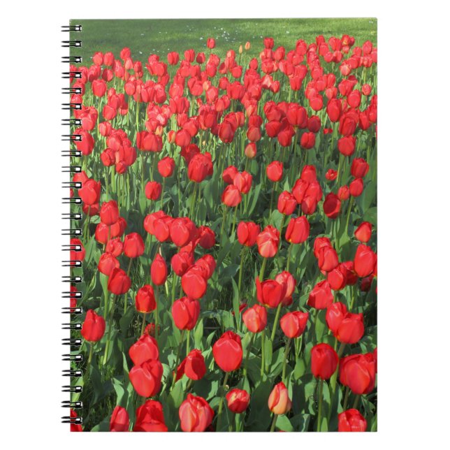 Carnet Lit des Tulipes rouges 02 (Devant)