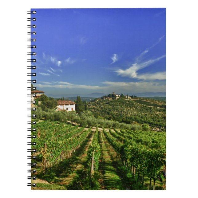 Carnet L'Italie, Toscane, Greve. Les vignobles de (Devant)