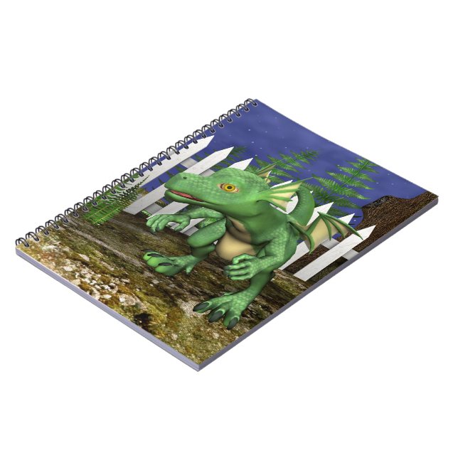 Carnet Little Dragon (Côté gauche)