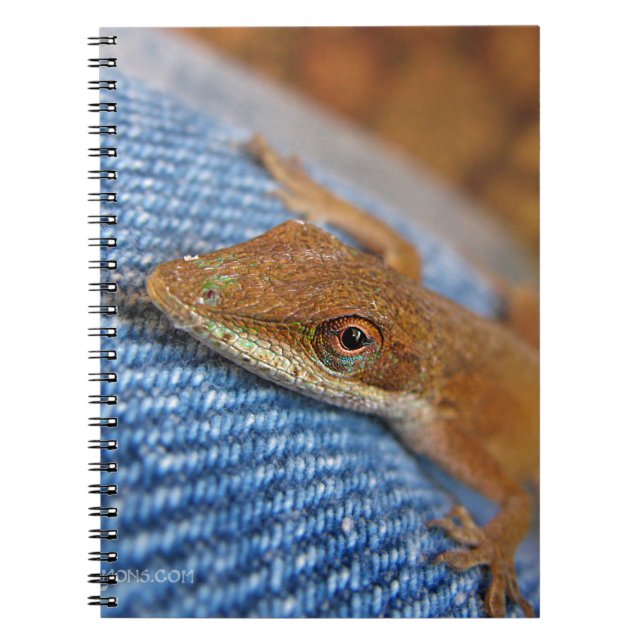 Carnet Lizard d'Anole Verte (Devant)