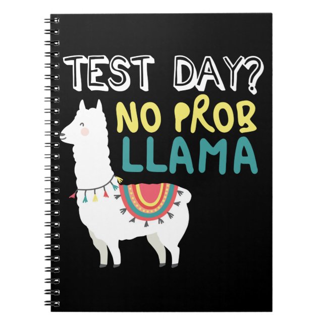 Carnet Llama Gift | Jour de test Aucun costume ProbLlama  (Devant)