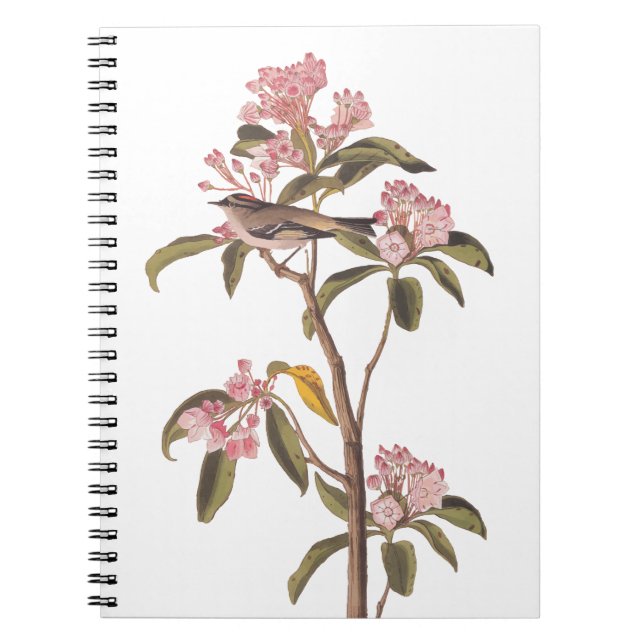 Carnet L'Oiseau de couvier d'Audubon sur Calico Rose (Devant)