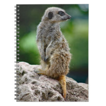 Carnet Lone Meerkat