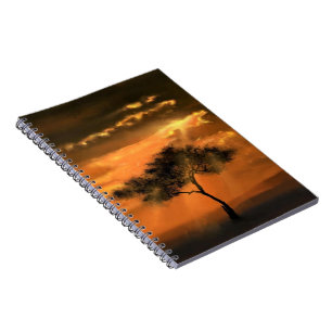 Carnet Lonely Tree Sunbeams - Lever du soleil