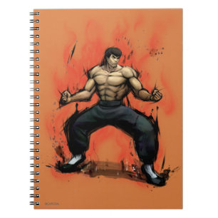 Carnet Longue position de Fei