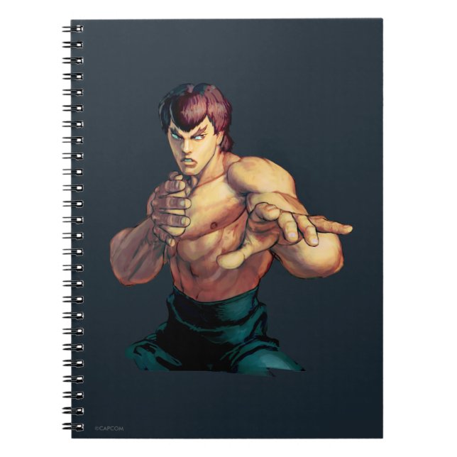 Carnet Longues mains de Fei augmentées (Devant)