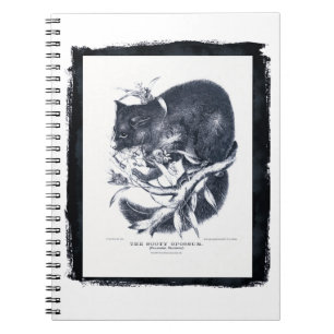 Carnet L'Opossum de Sooty