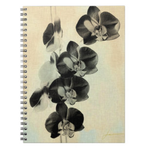 Carnet L'orchidée rougissent des panneaux III